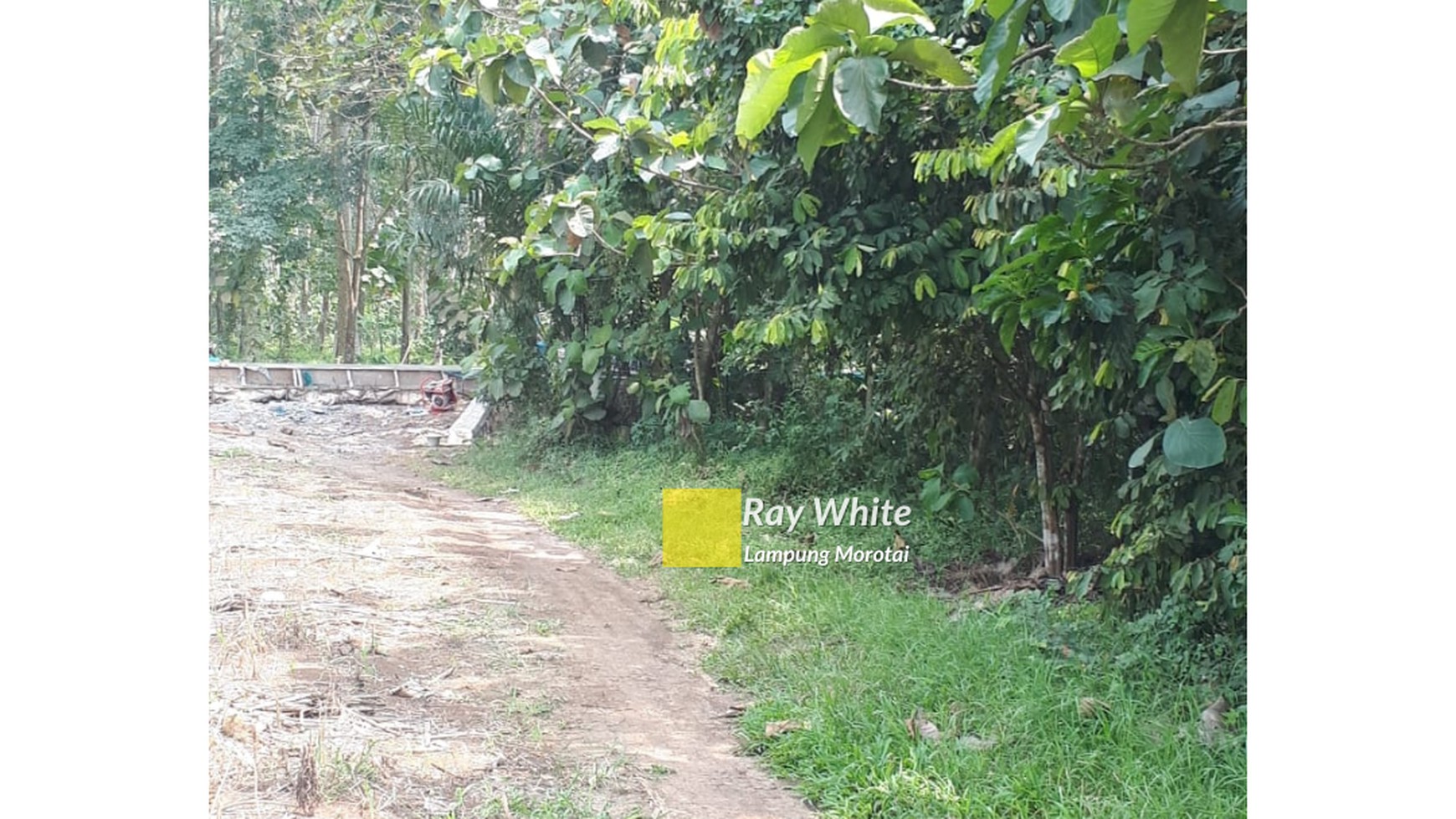 Dijual Tanah Murah di Negeri Katon Pesawaran