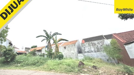 Jual Tanah Murah  di Kedamaian