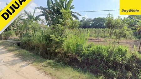 Jual Tanah Murah di Karang Anyar 