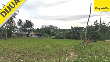 Jual Tanah Jati Agung 