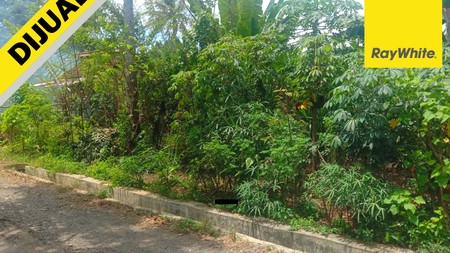 Jual Tanah Murah di Rajabasa 