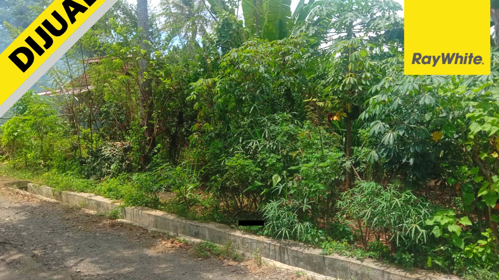 Jual Tanah Murah di Rajabasa 