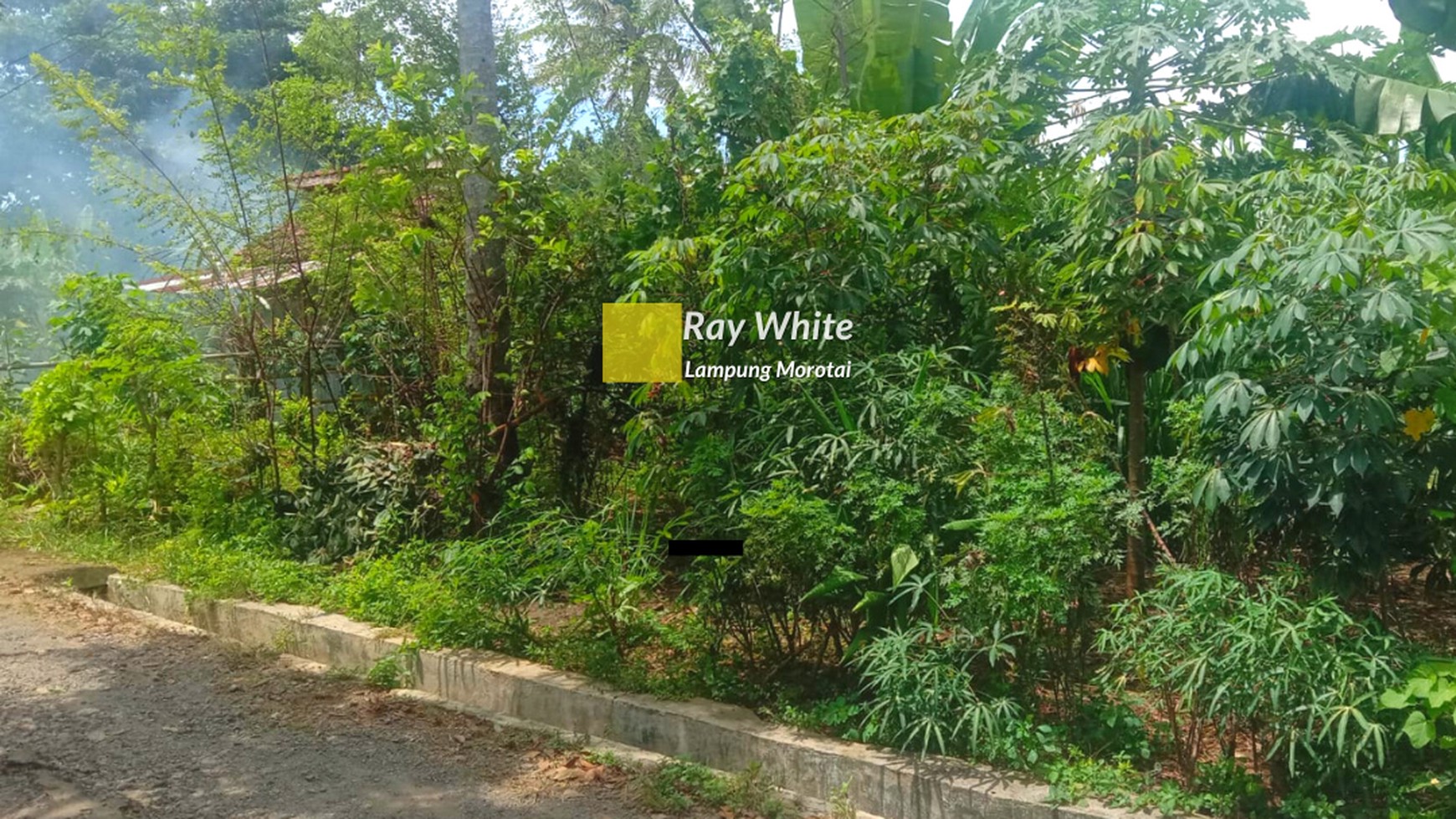 Jual Tanah Murah di Rajabasa 