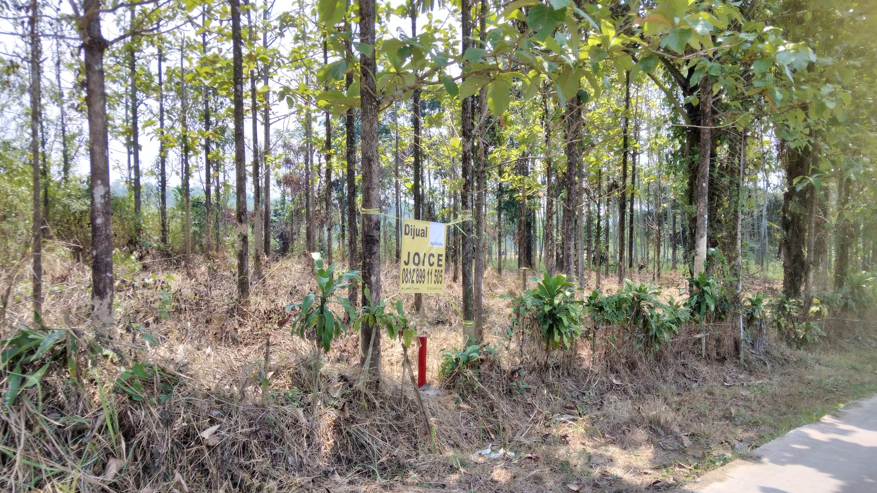 Tanah DiSukanegara Jonggol harga nego