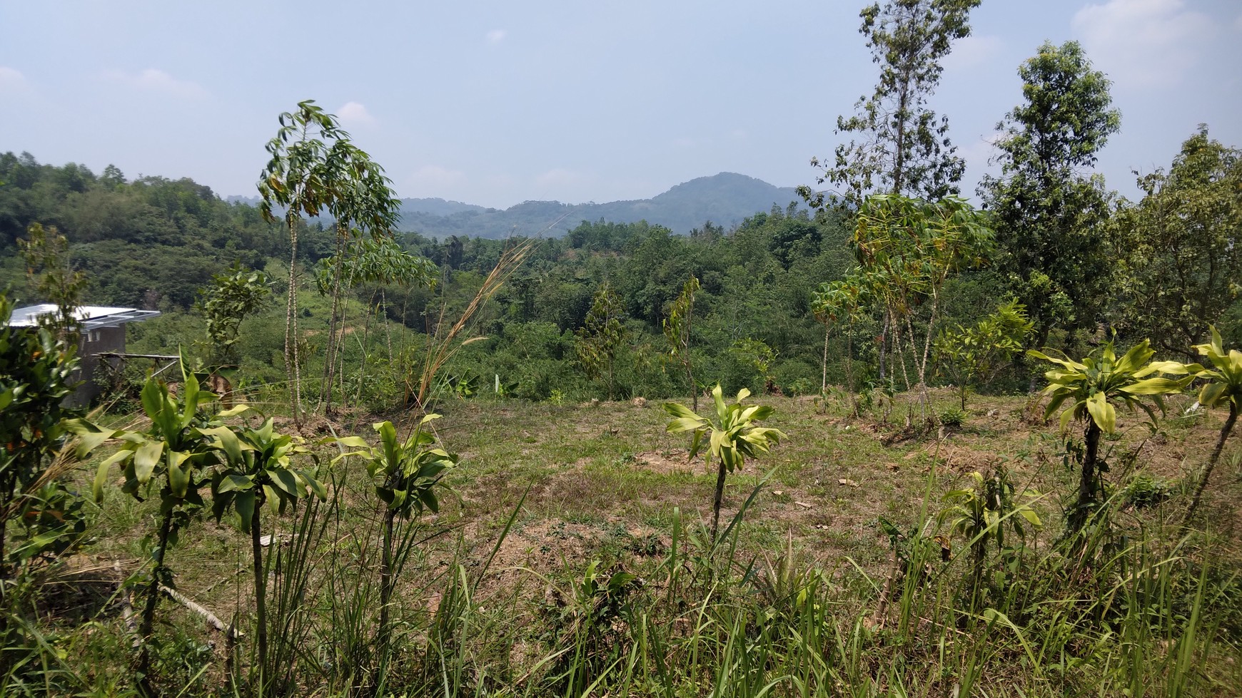 Tanah DiSukanegara Jonggol harga nego