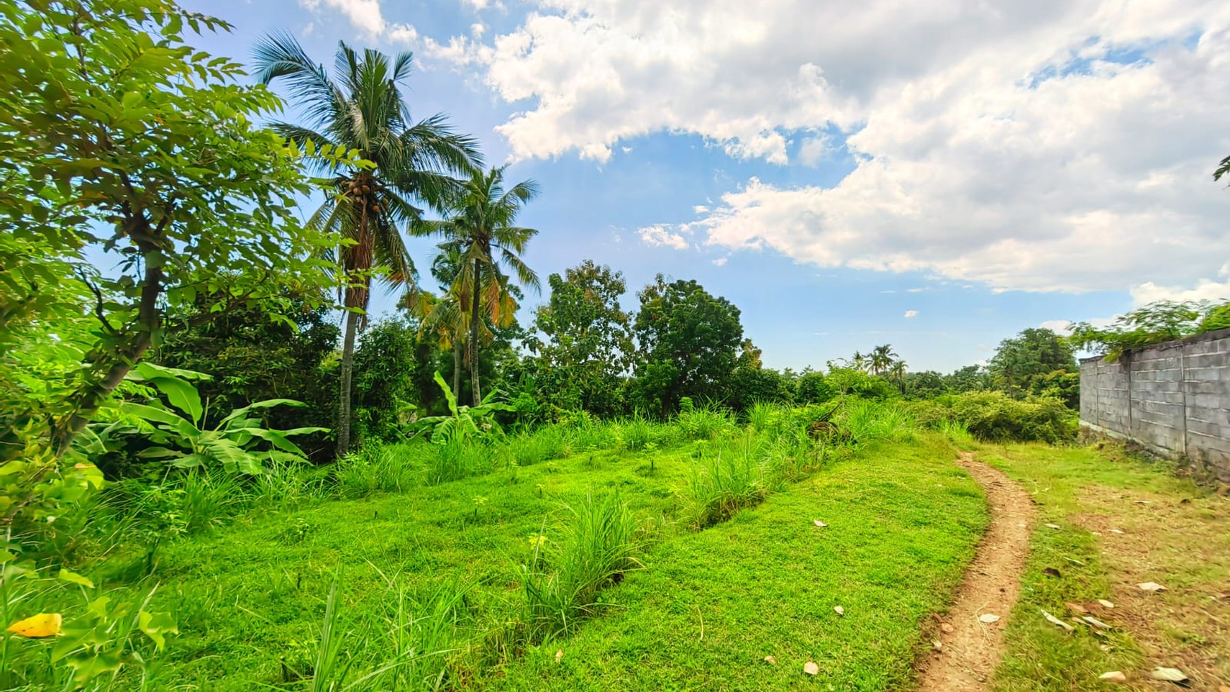 Land for Sale in Kayu Putih, Lovina