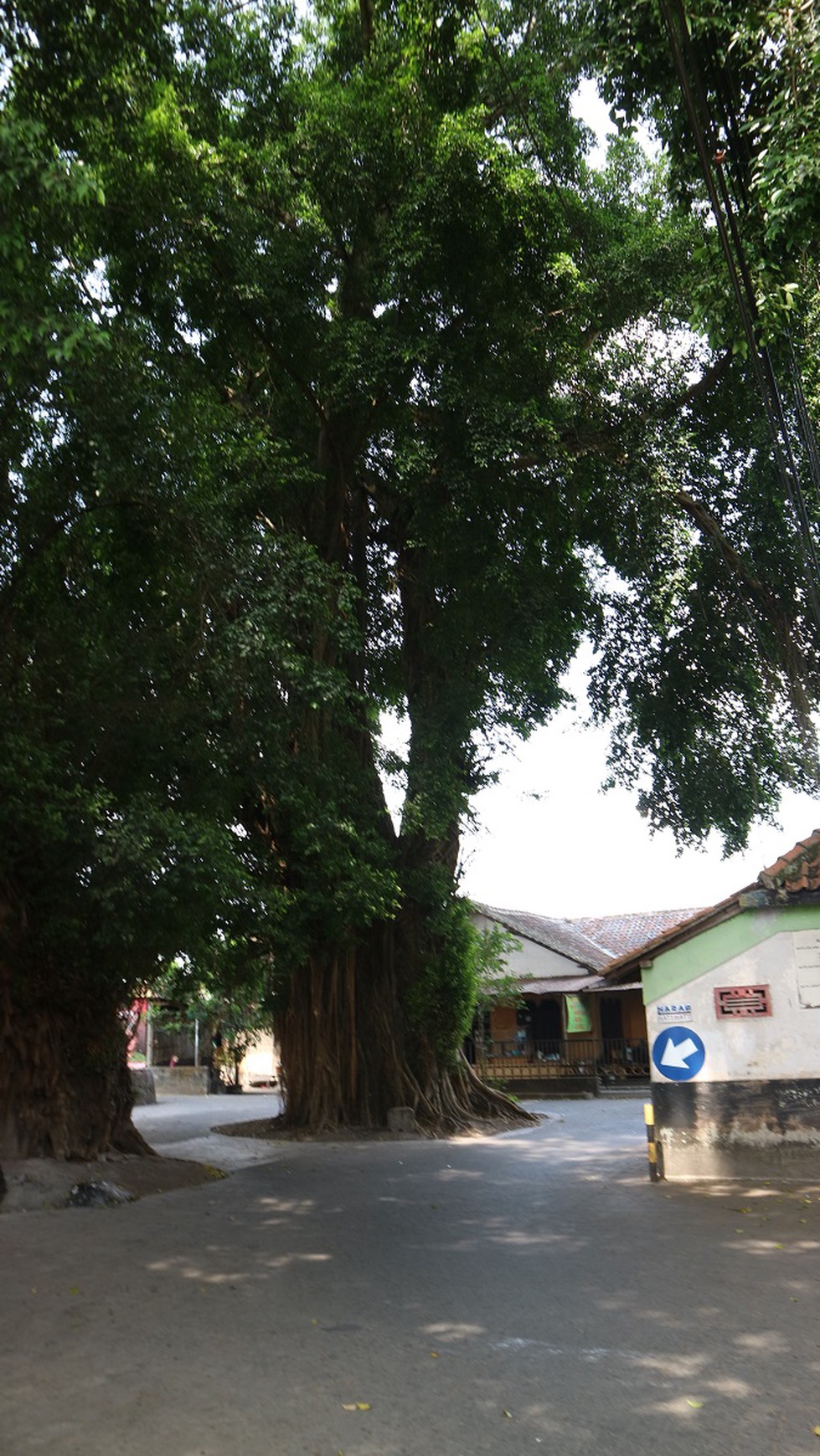 Bangunan Rumah Klasik Di Tengah Kota, Kotagede, Yogyakarta