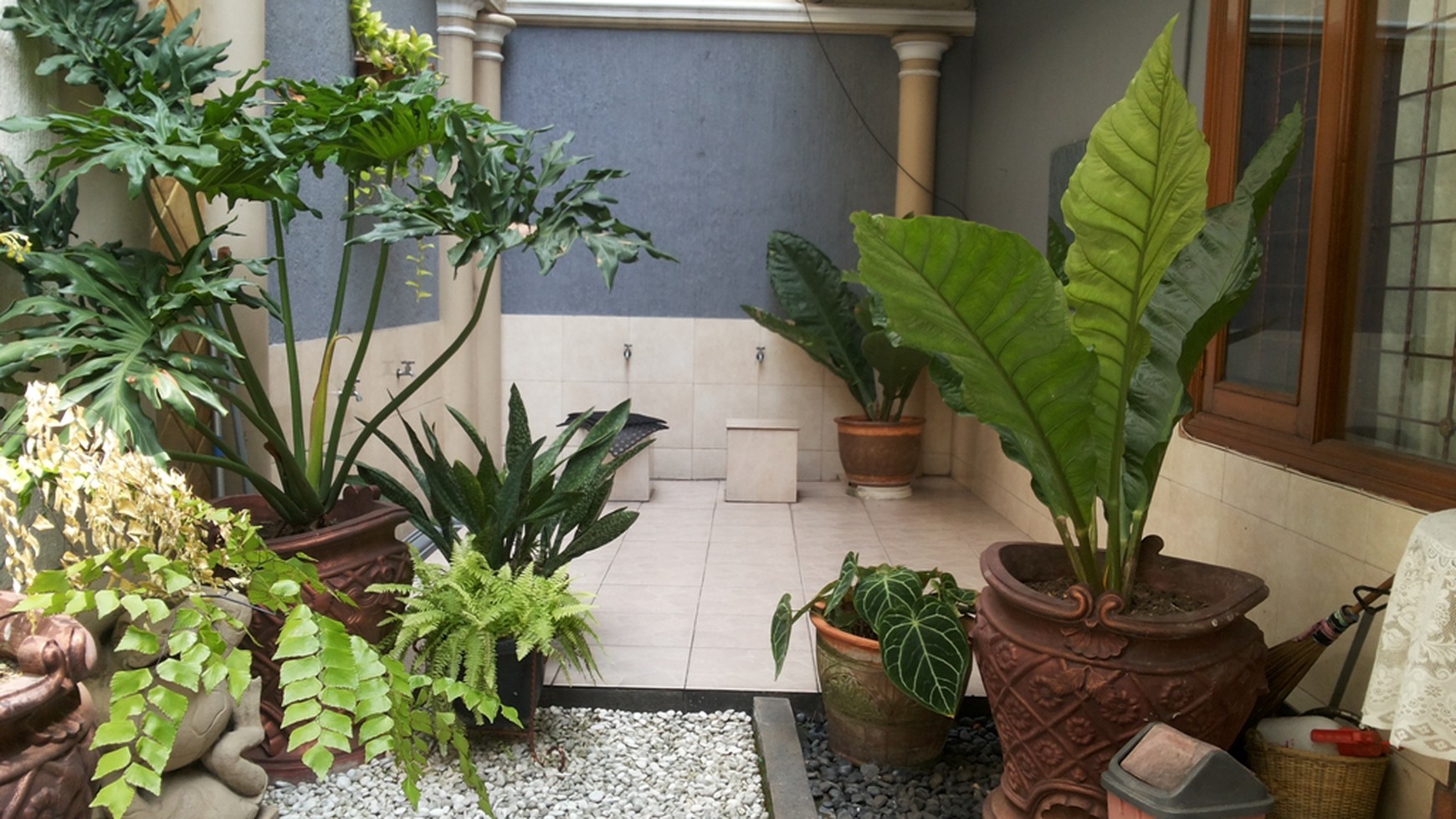 Rumah Bagus Diarea Cluster Eklusif Di Area JL Hidup Baru Jak-Sel