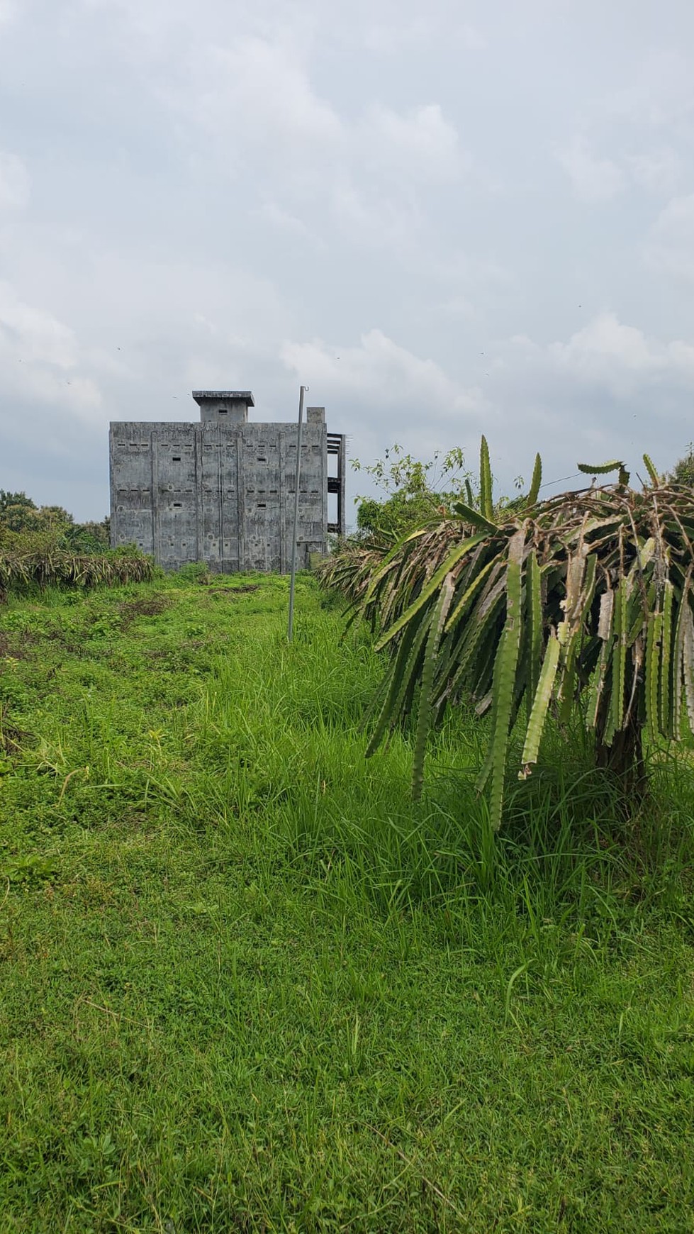 1260. Dijual Gudang + Tanah di dusun Sidomlangean Kedungpring Lamongan 