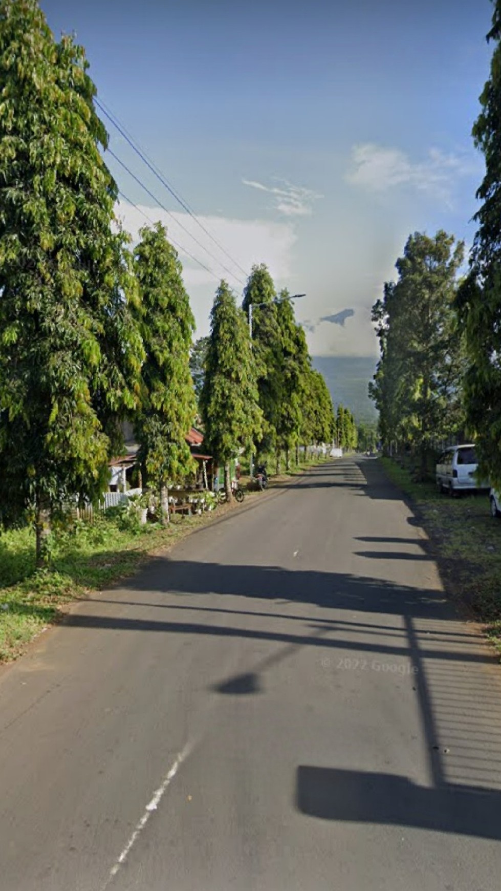 Dijual 1,1 Ha Tanah Jalan Raya Gondang - Randuagung - Krajan - Kec. Singosari - Kab.Malang JATIM Peruntukan Pabrik, Gudang , Segala Usaha 