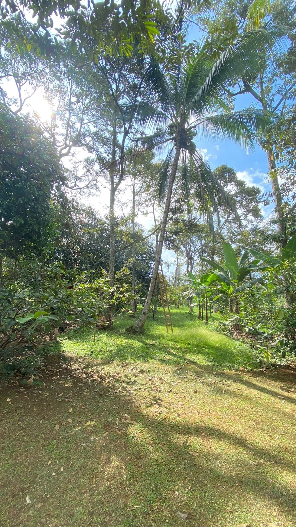 DIJUAL LAHAN DAN RUMAH KEBUN ASRI DI CARIU BOGOR