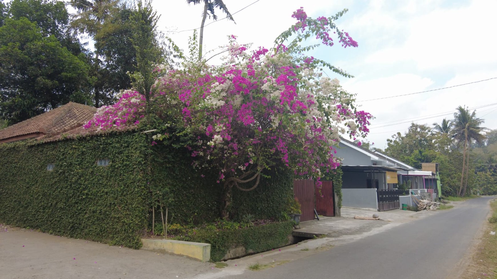 RUMAH VILLA CANTIK DENGAN KONSEP TROPIS, BERADA DI PENDEKAN, SAYEGAN, BANTUL