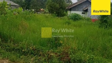 Dijual Tanah di Tanjung Senang