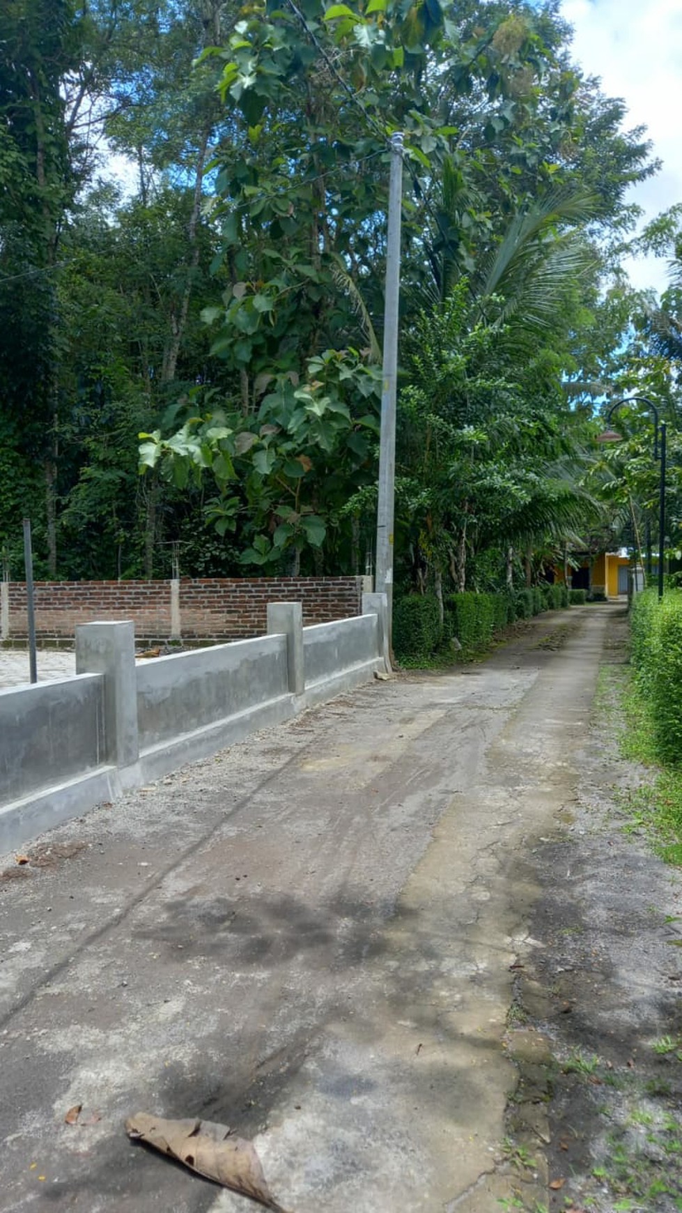 Tanah Pekarangan luas 1482 Meter Persegi di Minggir Sleman 