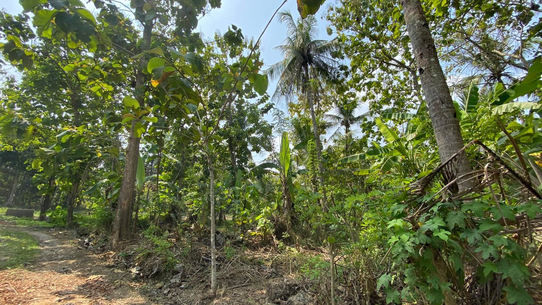 Tanah Luas 900 Meter Persegi Lokasi Nanggulan Kulonprogo 