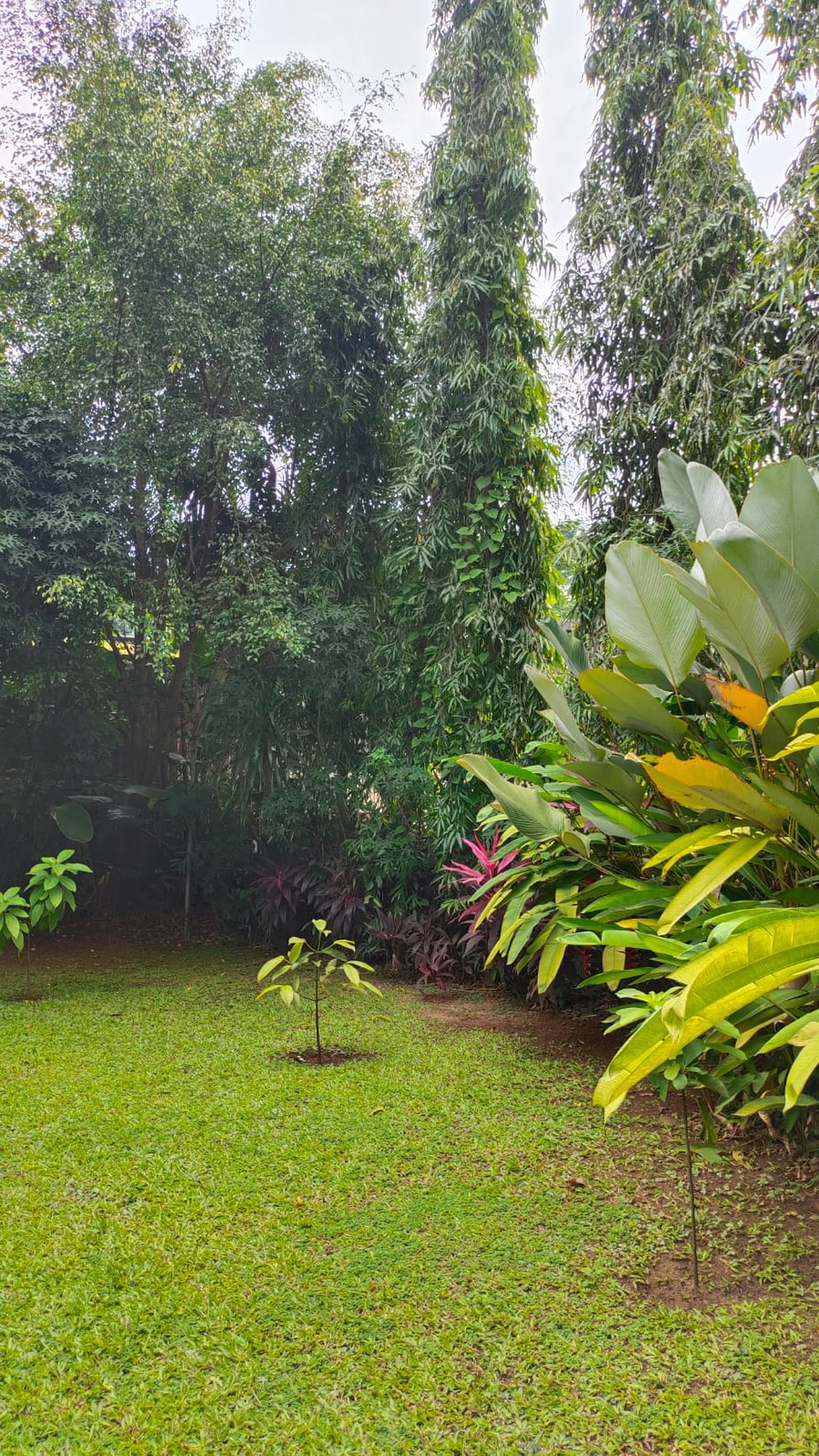 Rumah modern klasik area tenang siap huni di Lebak Bulus.