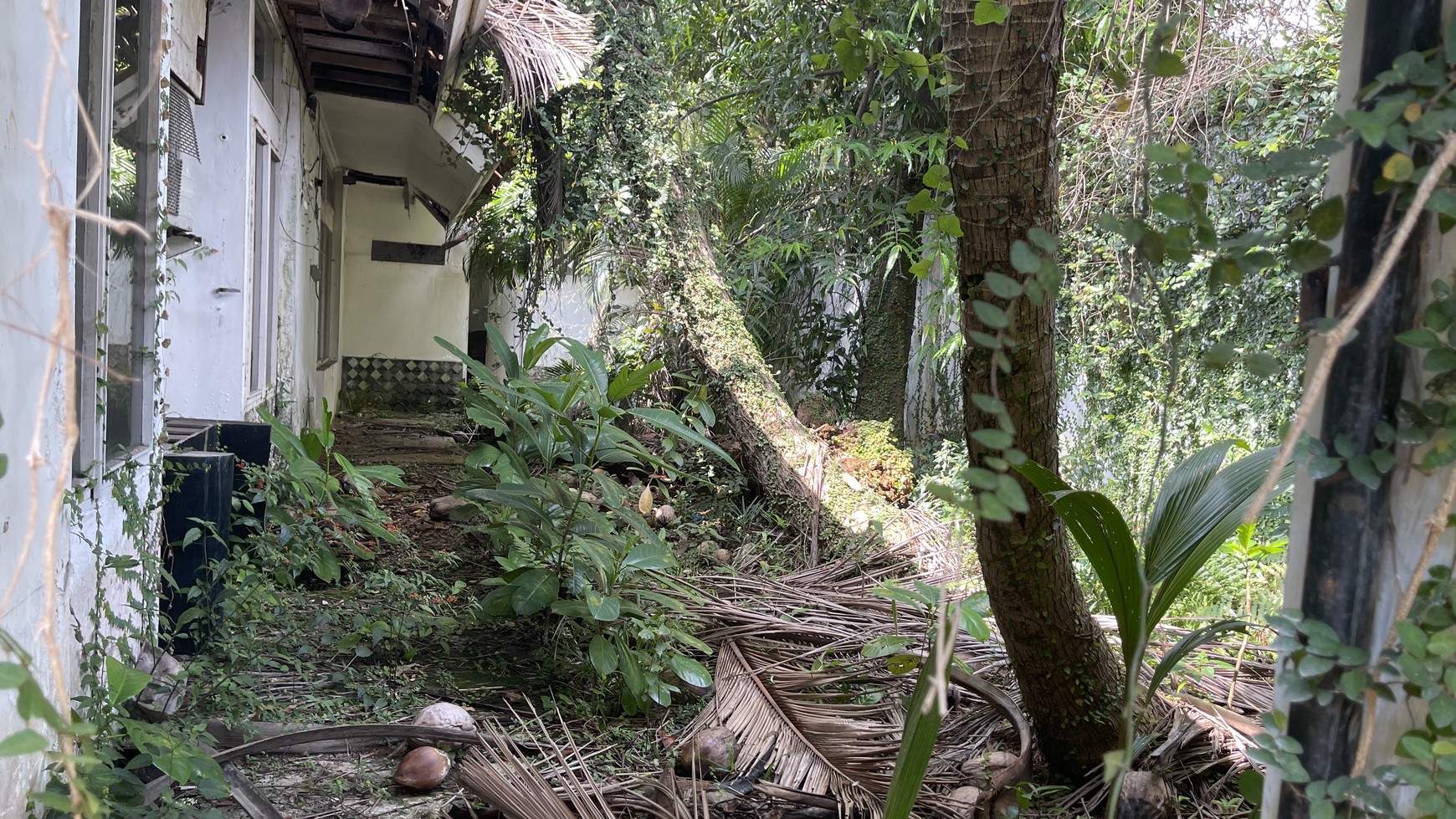 Rumah Tua di JL Bangka, Mampang,Jak Sel