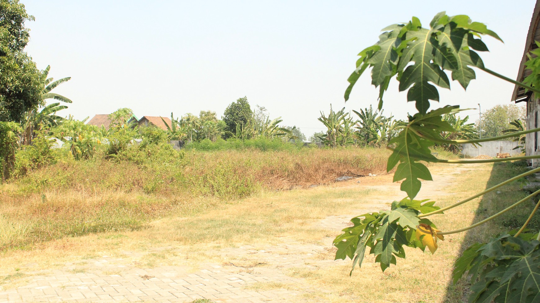 Sewa Gudang di Gedeg Mojokerto