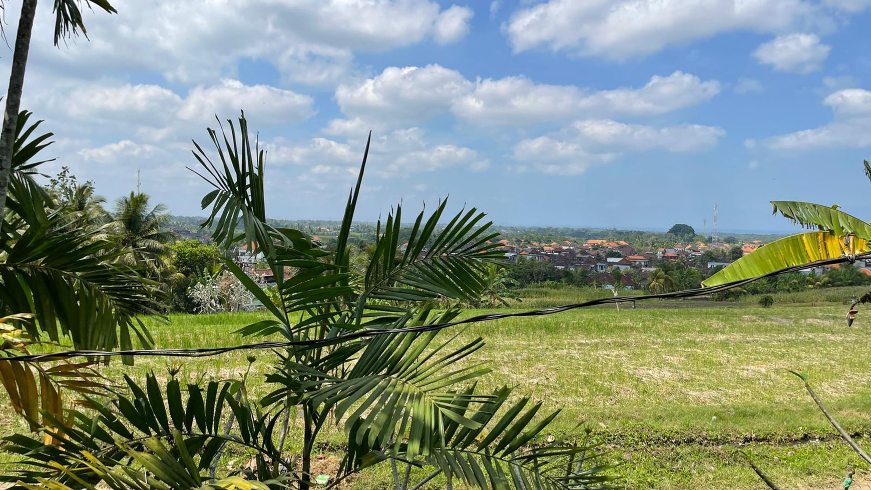 Beautiful villa with natural views of forests and rice fields