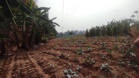 Tanah Kavling 1 Ha Lebih di Dago Pakar Bandung