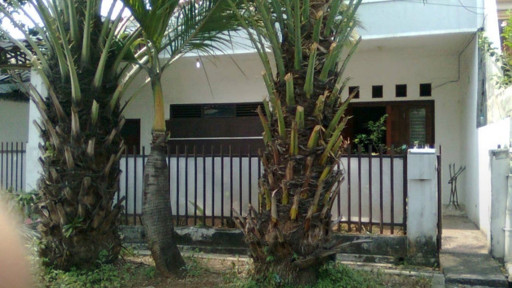 Rumah cempaka Putih Hitung Tanah