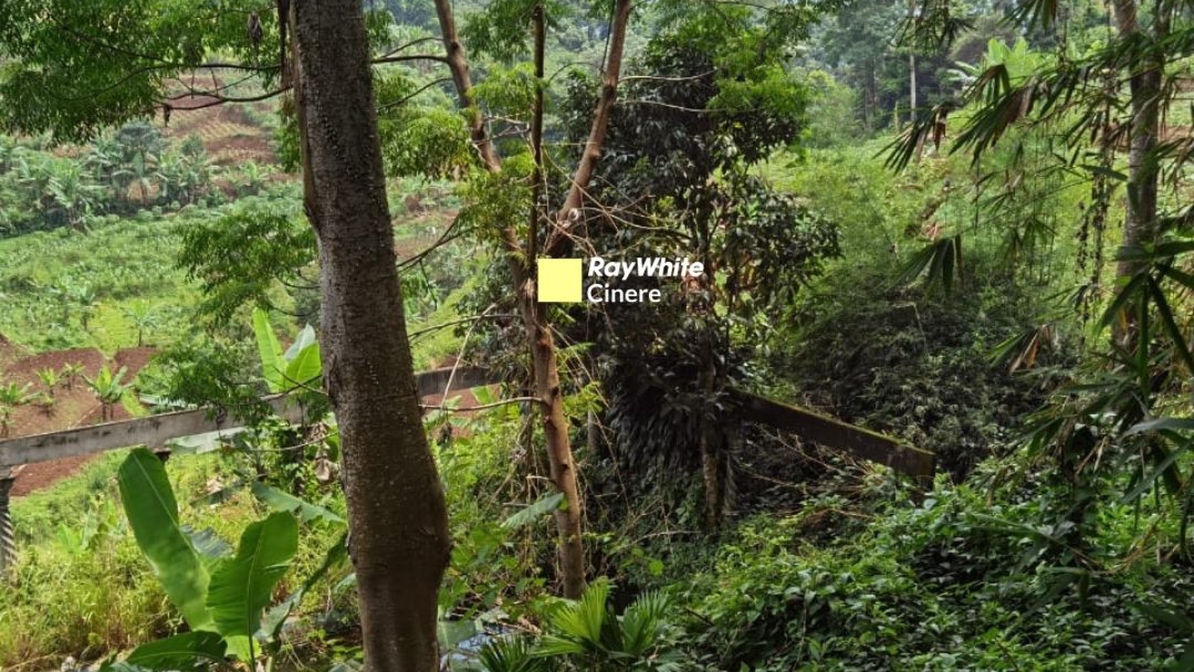 Tanah Super Luas, Super Keren di Gunung Geulis, Puncak