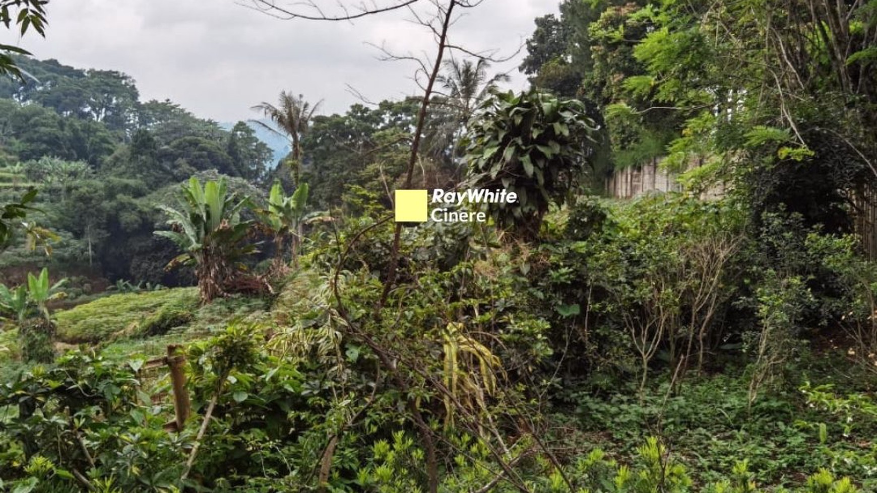 Tanah Super Luas, Super Keren di Gunung Geulis, Puncak