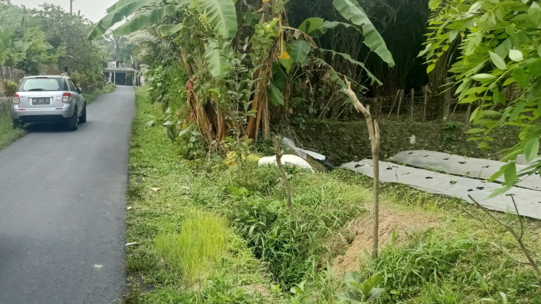 Tanah Sawah dekat kantor Kapanewon Turi - Sleman