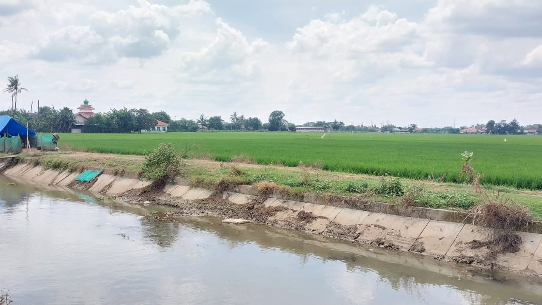 Lahan sawah di Cikarang Timur 