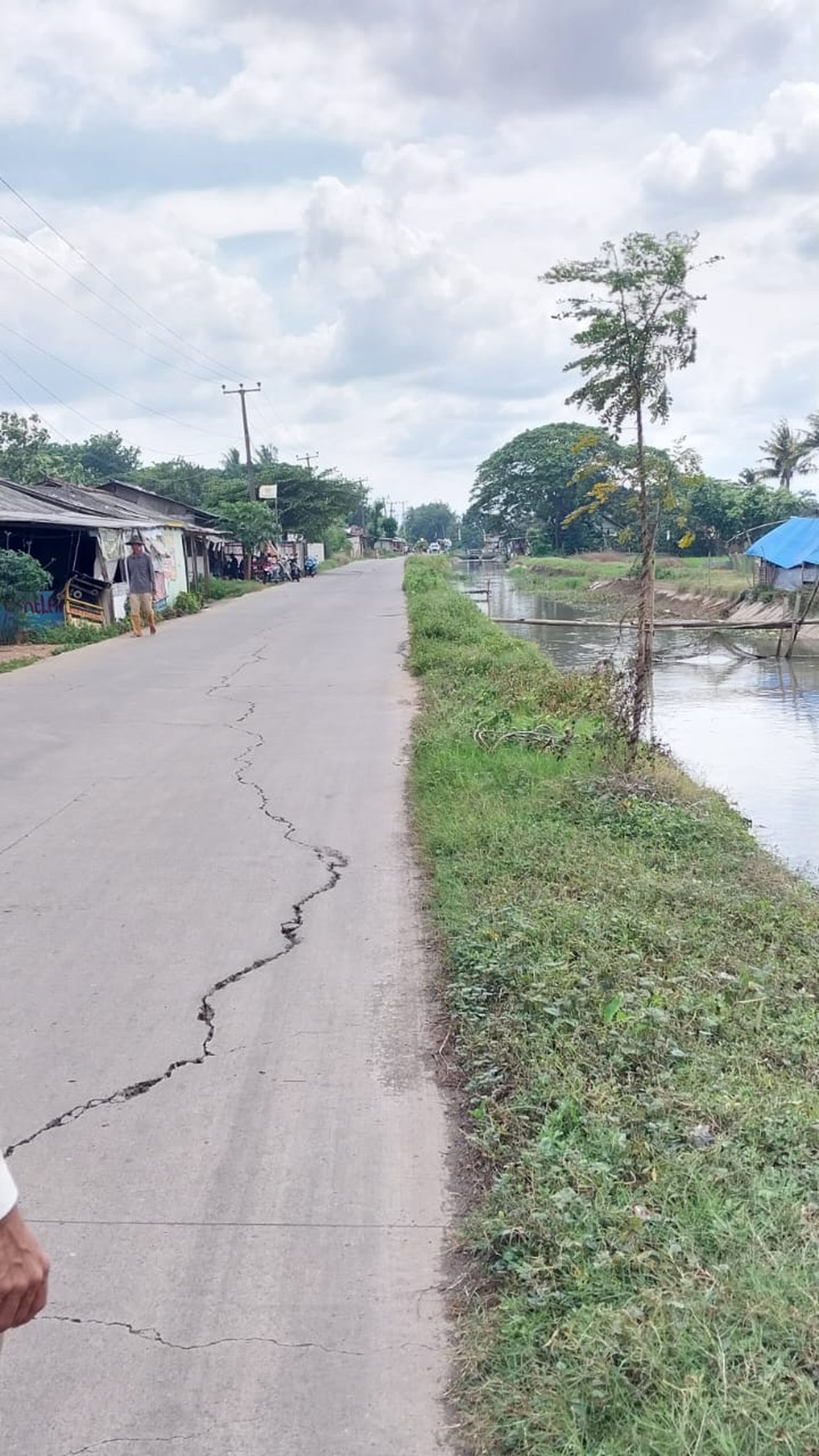 Lahan sawah di Cikarang Timur 