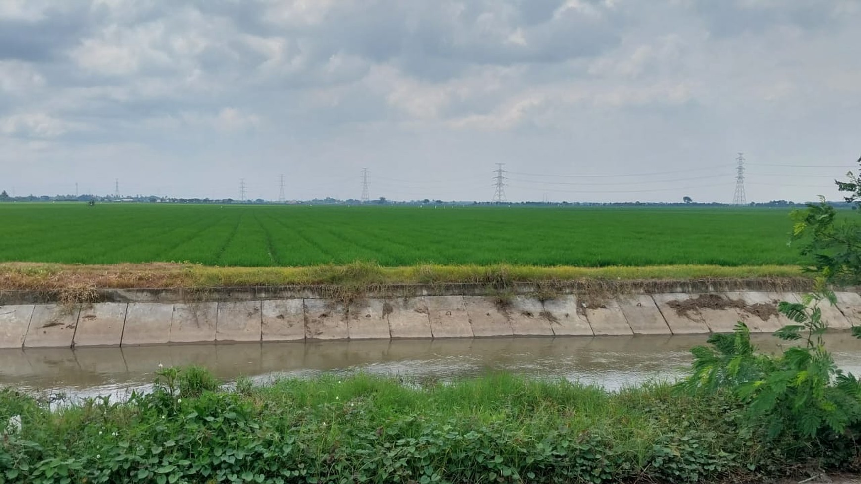 Lahan sawah di Cikarang Timur 