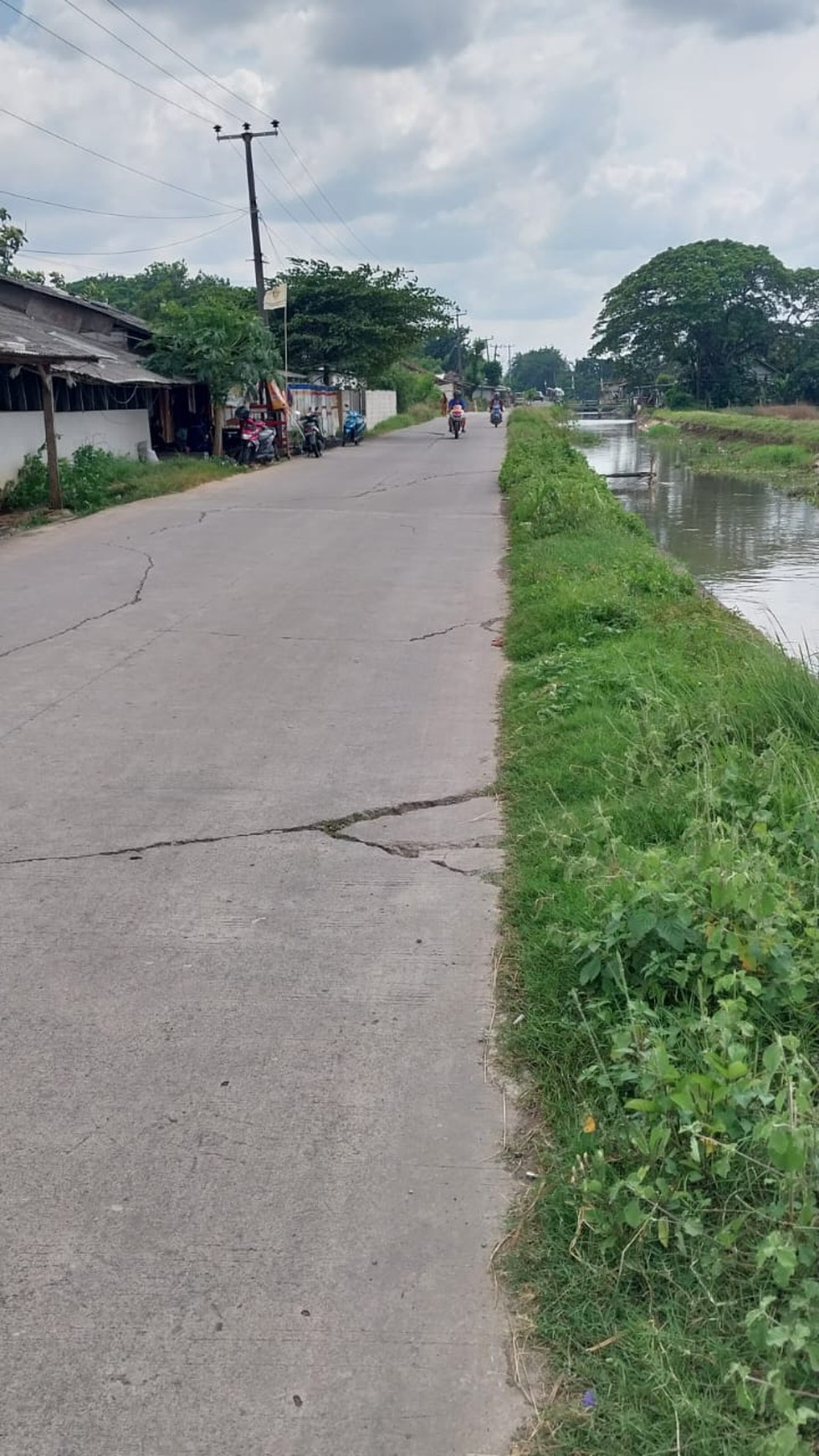 Lahan sawah di Cikarang Timur 