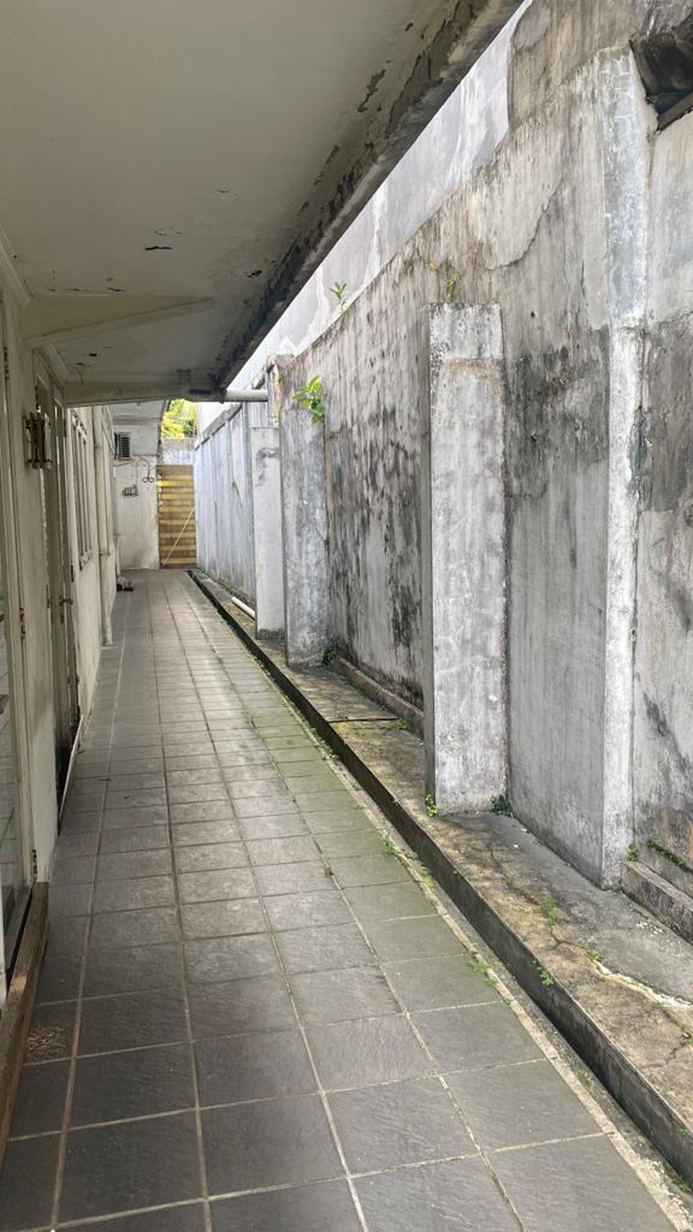 RUMAH DIJUAL JALAN MANGUNSARKORO JAKARTA PUSAT