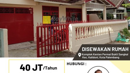 Rumah disewakan