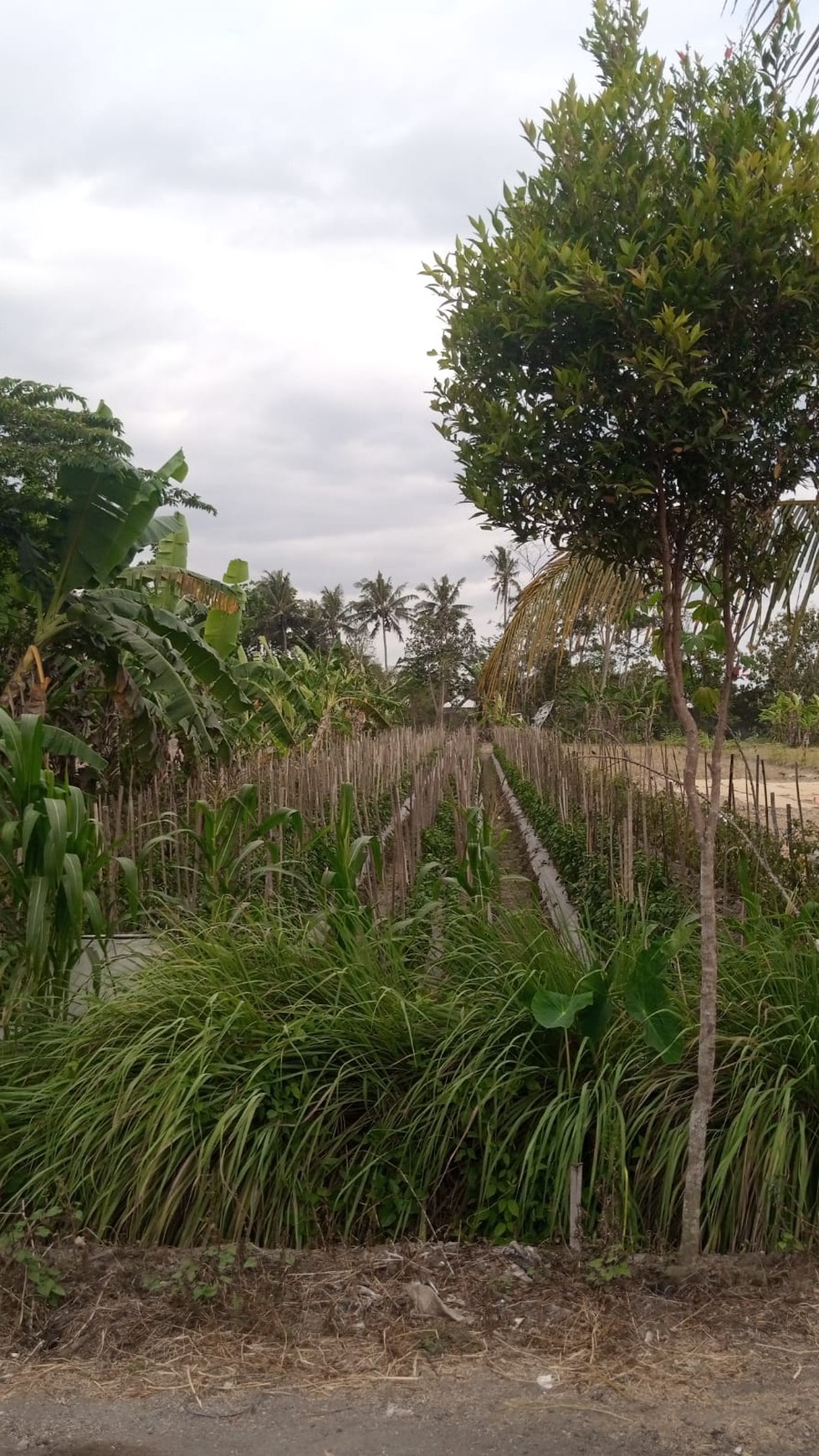 Tanah Lokasi Strategis Utara Kampus UII Jalan Kaliurang 