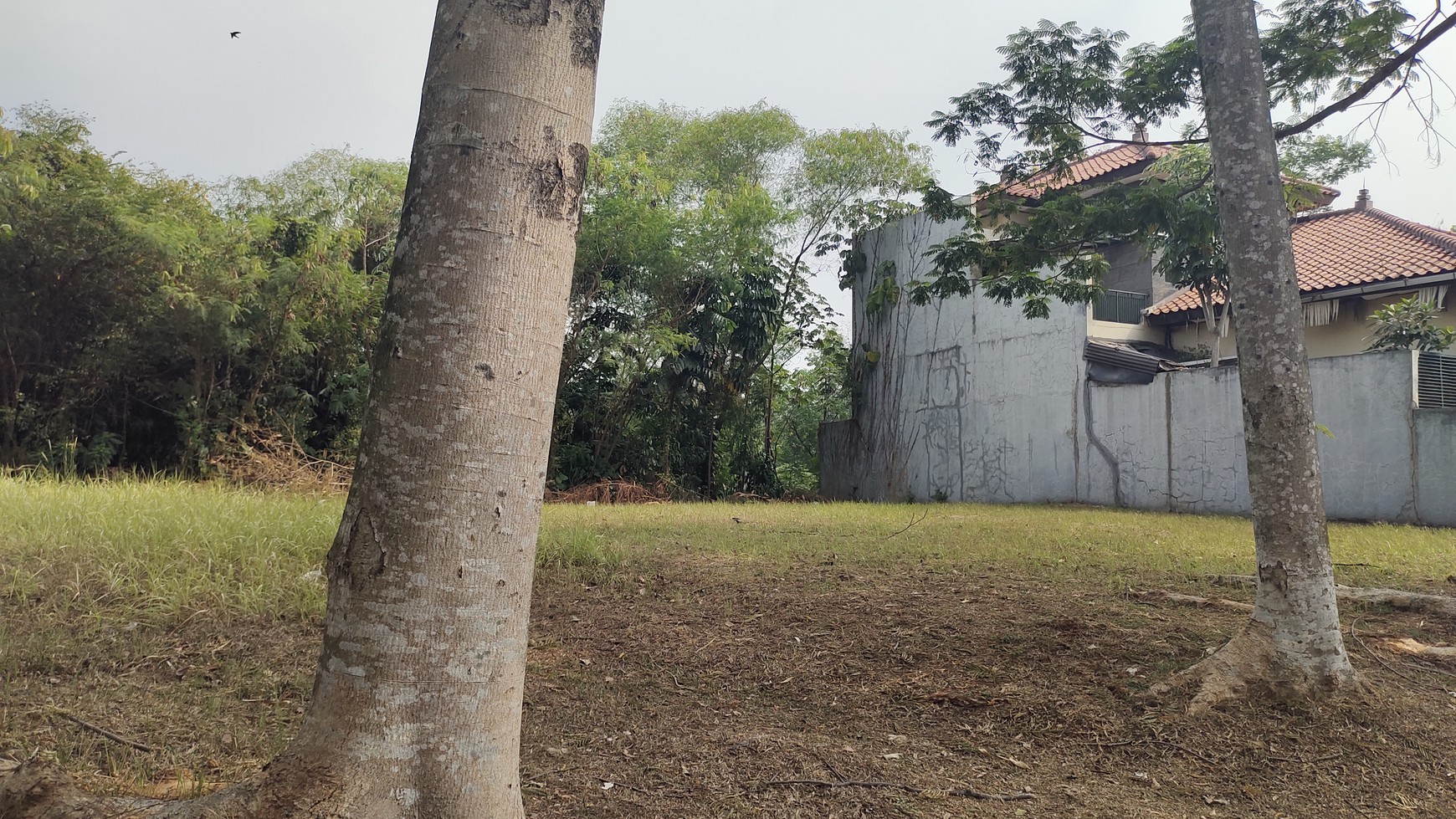 Kavling Badan Siap Bangun di Citra Gran Cibubur 