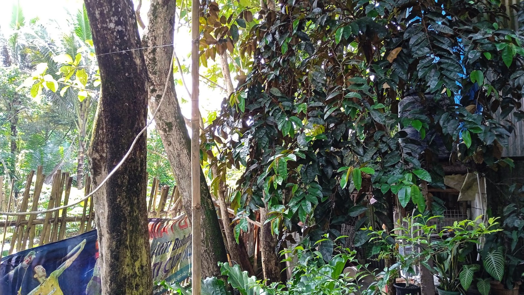 Lahan GOR dan Kebun Buah Investasi Untung Kota Sukabumi Harga Murah