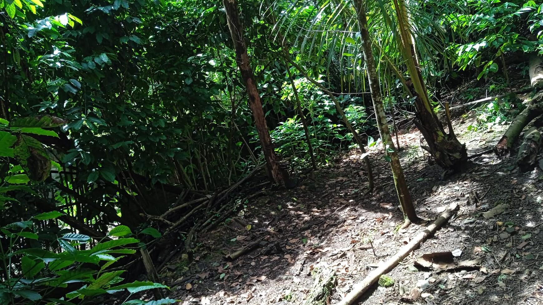 Lahan GOR dan Kebun Buah Investasi Untung Kota Sukabumi Harga Murah