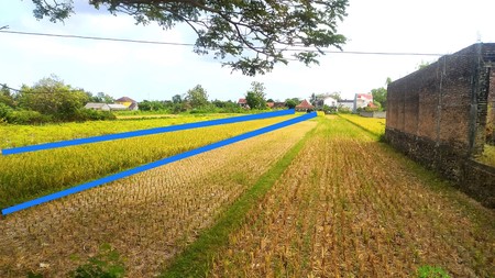 Tanah  Luas 1.260 Meter Persegi Lokasi Strategis Dekat Polsek Bambang Lipuro