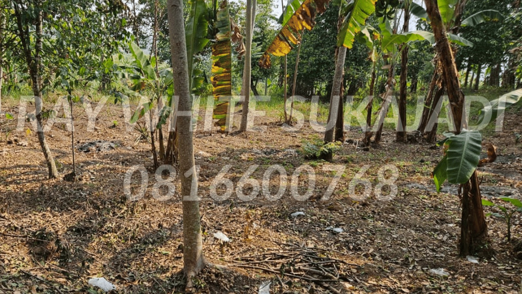 Tanah di Ds Cileumbu Kab. Pamulihan Sumedang