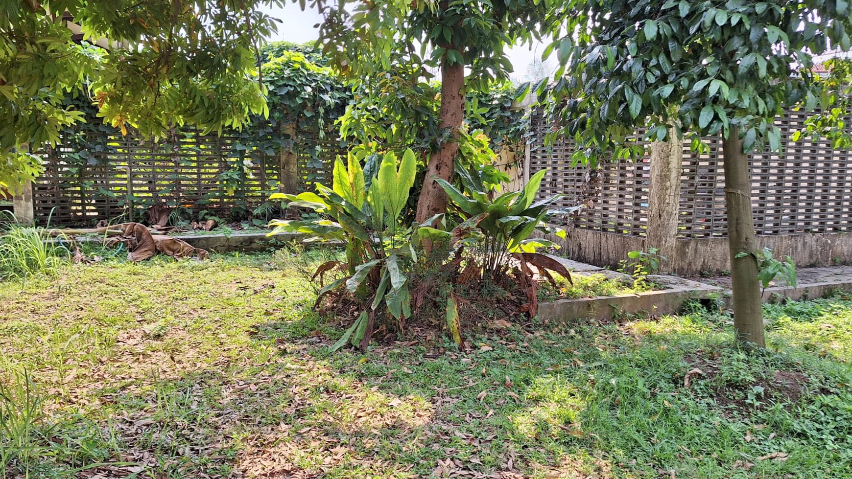 Rumah tua hoek hitung Tanah  cocok bangun cluster di Jati bening Bekasi