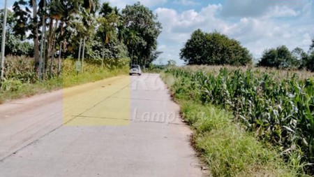 Lahan dijalan lintas Pesawaran-Beranti Desa Halangan Ratu Negeri Katon Lampung