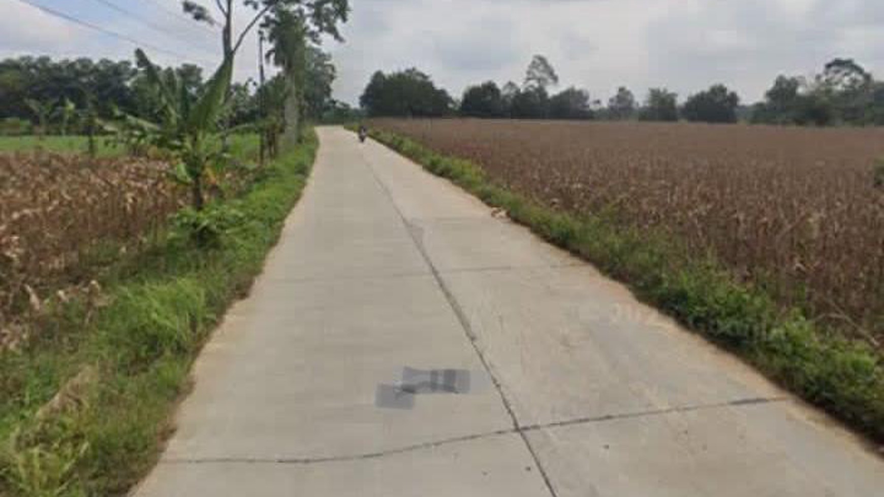 Lahan dijalan lintas Pesawaran-Beranti Desa Halangan Ratu Negeri Katon Lampung