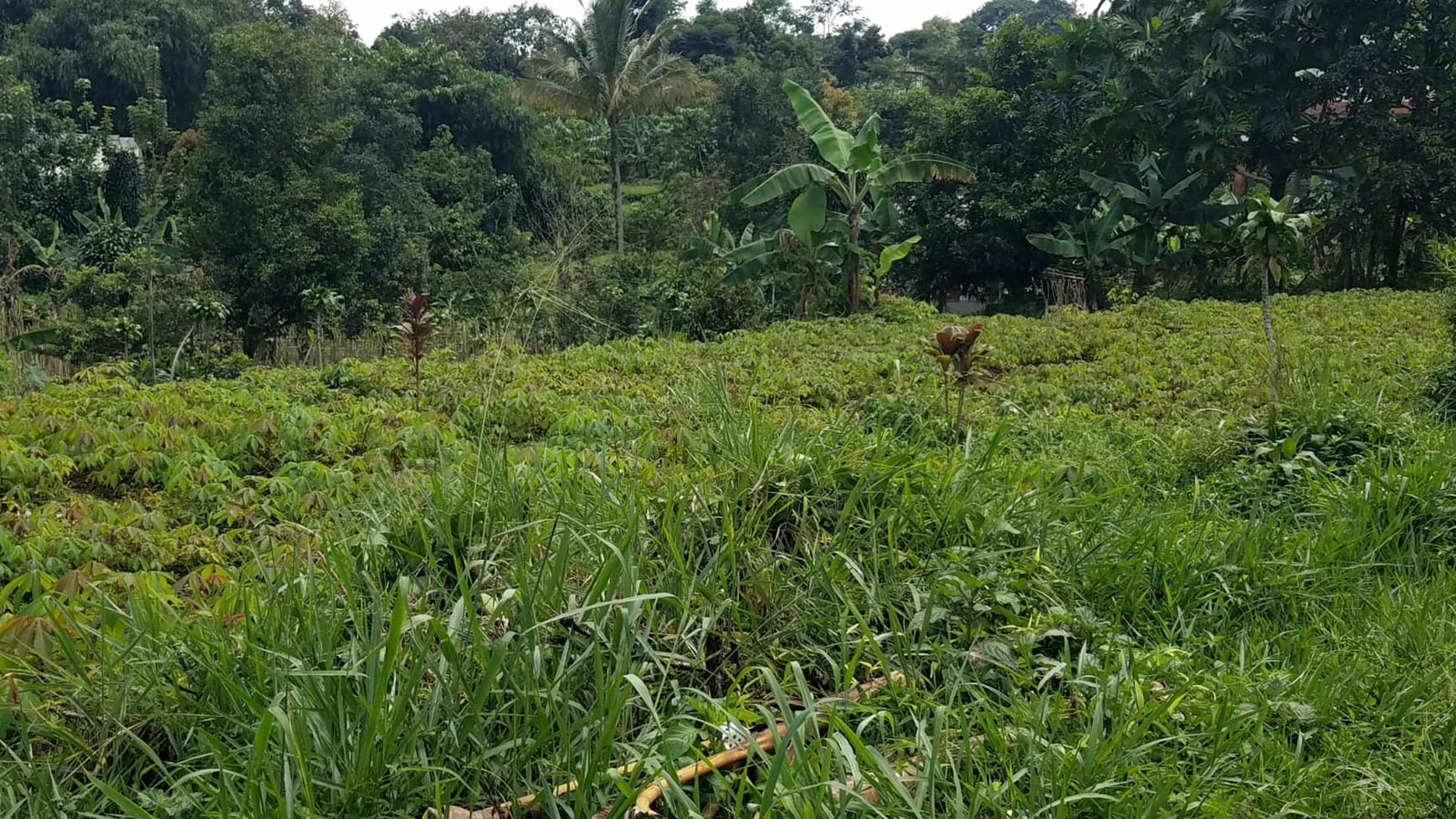 Kavling siap bangung cocok untuk Cluster