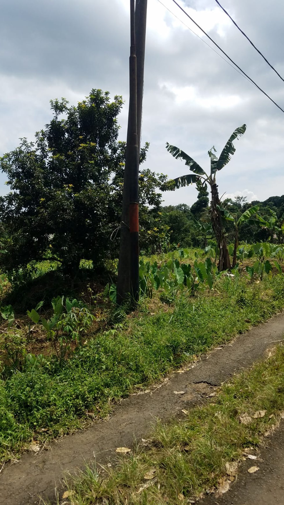 Kavling siap bangung cocok untuk Cluster