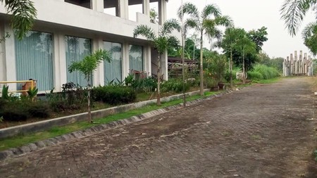 Kantor & Kebun di Ds. Nglarohgunung, Kec. Jepon, Kab. Blora, Cocok buat bidang Pertanian, Perkebunan dan Peternakan