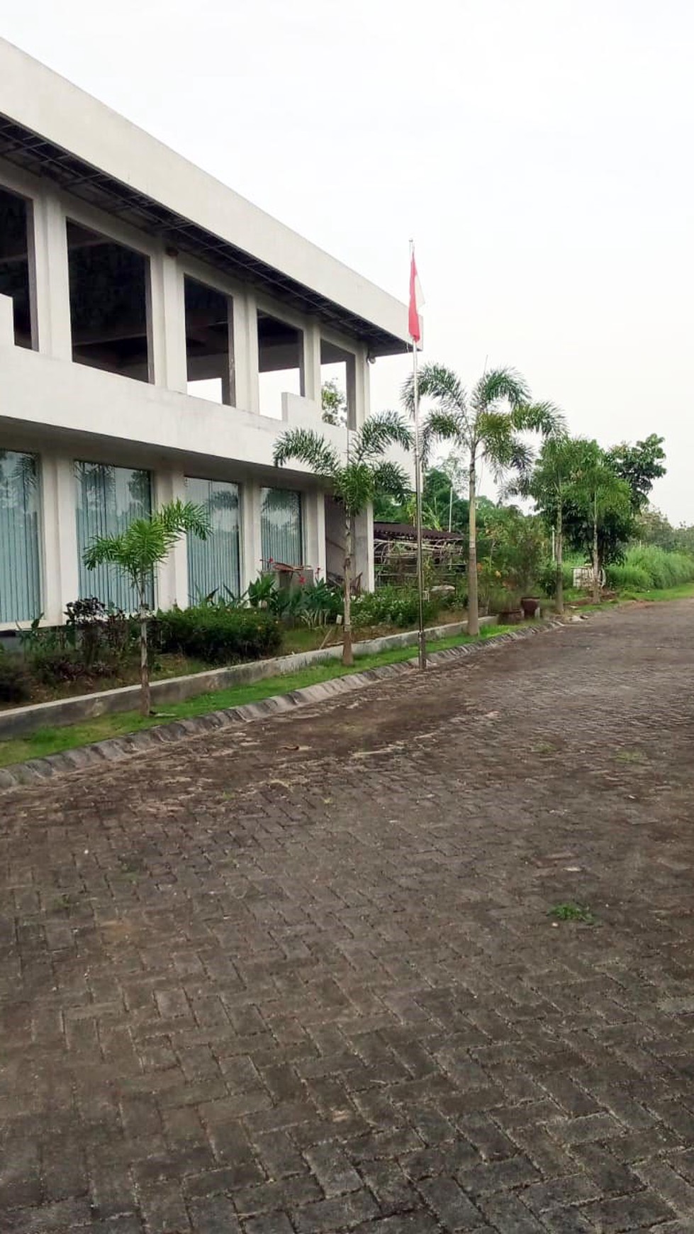 Kantor & Kebun di Ds. Nglarohgunung, Kec. Jepon, Kab. Blora, Cocok buat bidang Pertanian, Perkebunan dan Peternakan