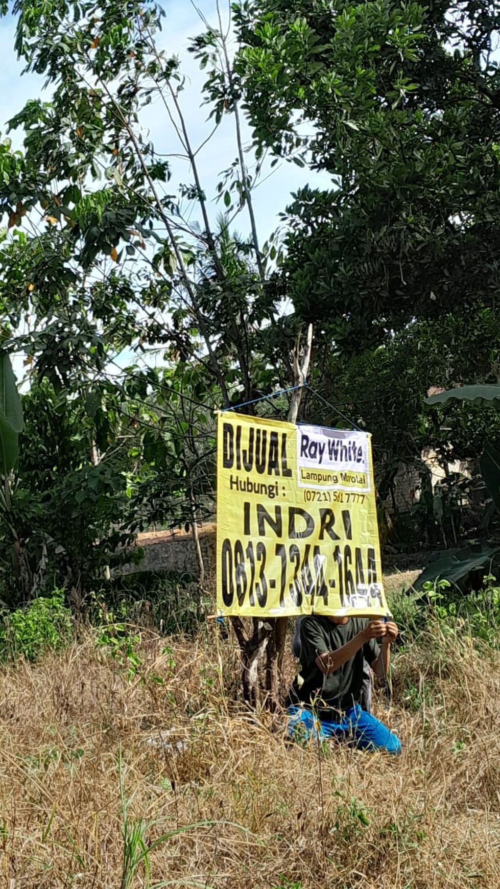  Tanah Tanjung Bintang Dijual Cepat