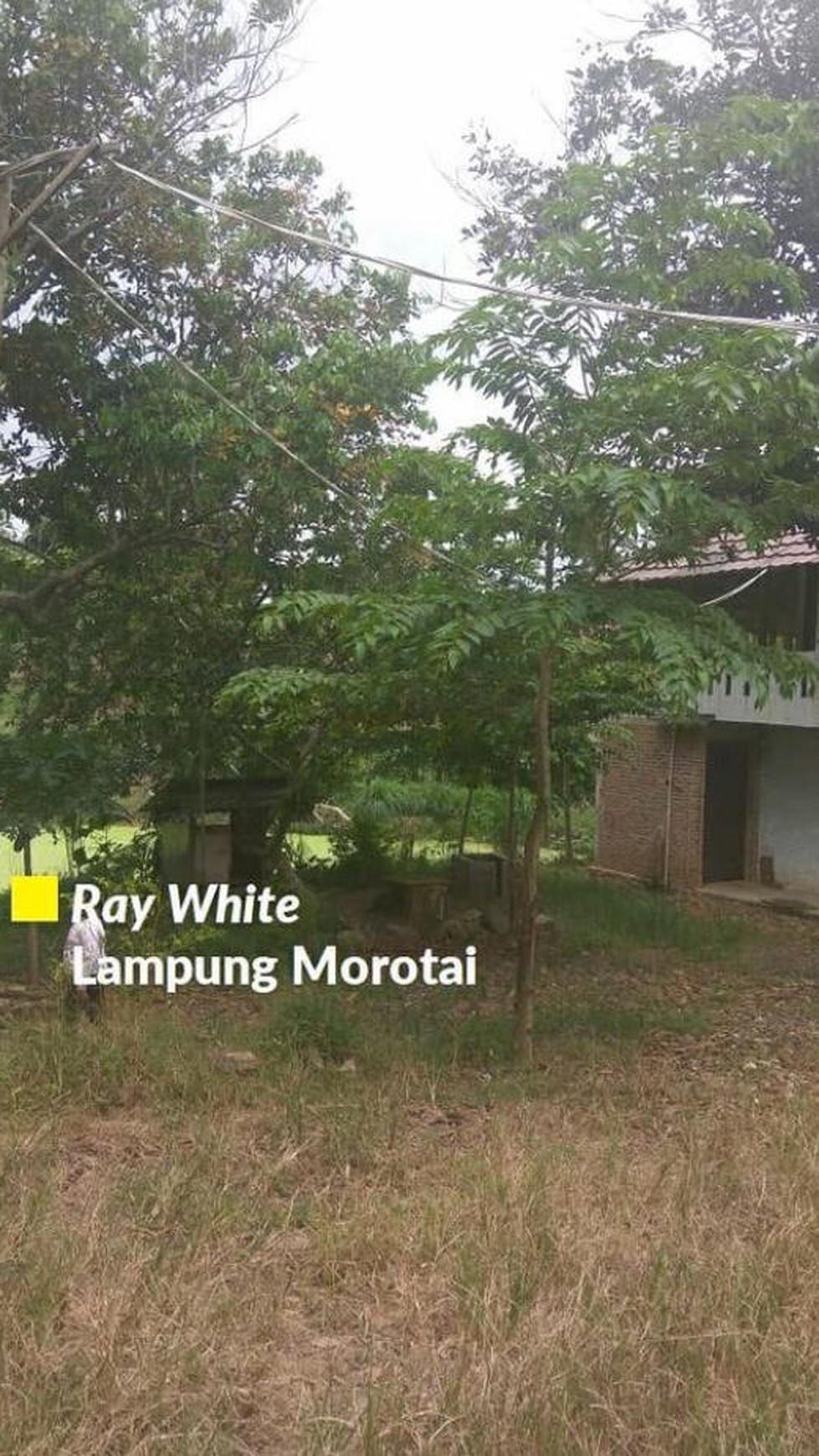 Tanah murah di Sidomulyo Lampung selatan