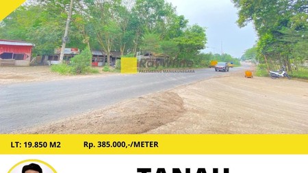 Tanah murah 